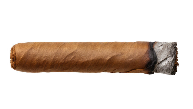 Rolled tobacco cigar with ash on one end