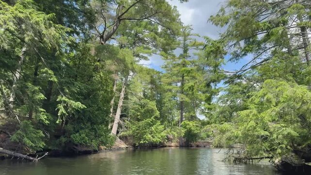 Lush green  scenic forests on the shore of islands of a Muskoka Canada Lake.