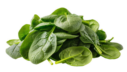 Obraz premium Fresh green spinach leaves pile