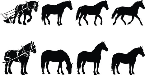 Fototapeta premium Black horse silhouettes in various poses including grazing, walking, trotting, pulling plow, and standing for design use