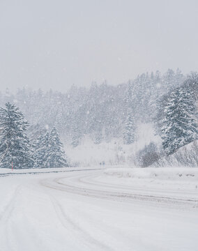 Winter snowstorm on a mountain road with dense forest in broad daylight
