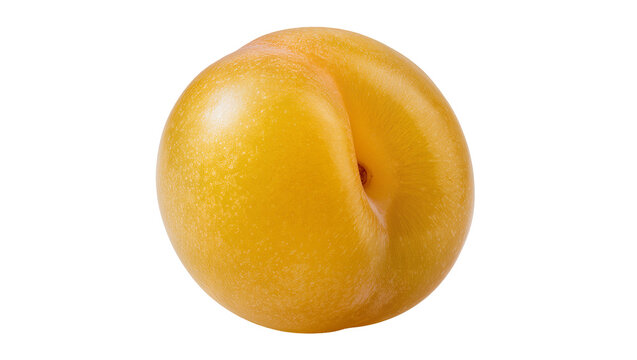 Yellow plum fruit with smooth skin and slight indent
