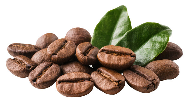Roasted coffee beans with green leaves