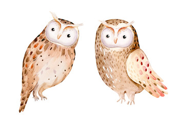 Fototapeta premium Watercolor cute baby owl animal. Woodland nursery isolated illustration for children. for children. watercolour stump and acorn forest drawing with floral elements. Butterfly and spruce branch