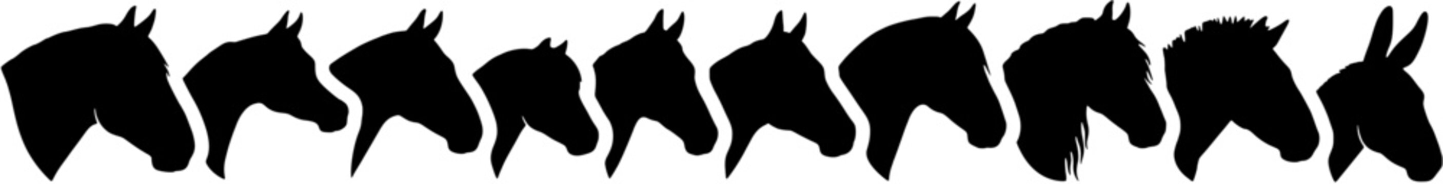 Horse and donkey head icon set in a flat black silhouette style including various breeds, mane styles and ear shapes.