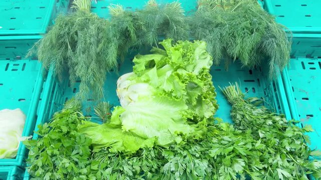 Lettuce and Parsley in a Plastic Crate on a Supermarket Counter