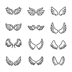 Obraz premium Various angel wing designs illustrated.
