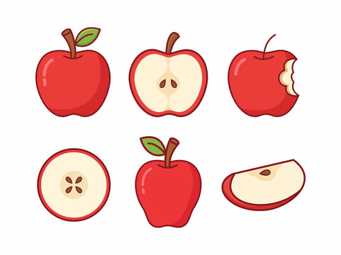 Red apple vector illustration set. Whole, half, sliced, and bitten red apple icons isolated on white background. Cute cartoon flat design.