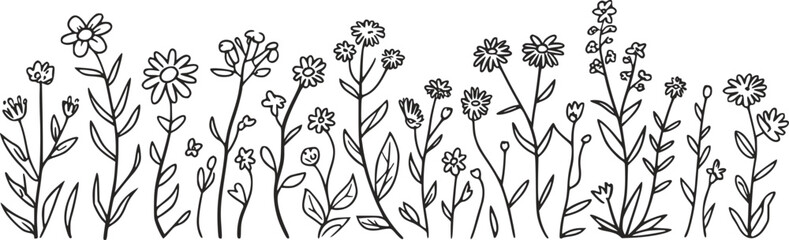 様々な野草と植物の茎を特徴とする手描きの白黒フローラルボーダー。 © HasnaHena55