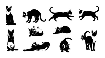 Black and White Cat Silhouettes, Diverse Poses Vector Set: Playful Felines, Sleeping Pets, Elegant Stances, Graphic Animal Icons for Design © Abdulllah