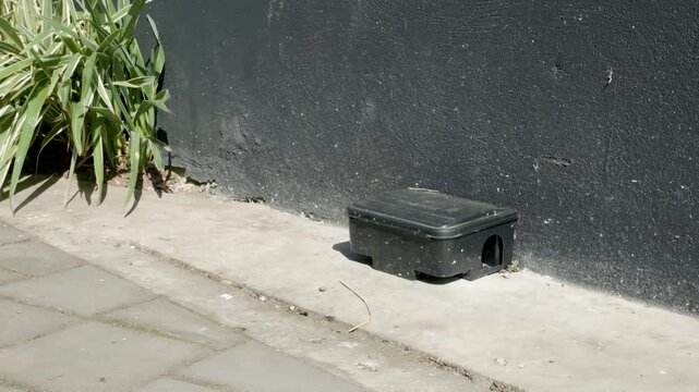 Outdoor Rodent Bait Station Installed Along a Building Perimeter for Urban Pest Control, Video Recorded in 4K at 60fps