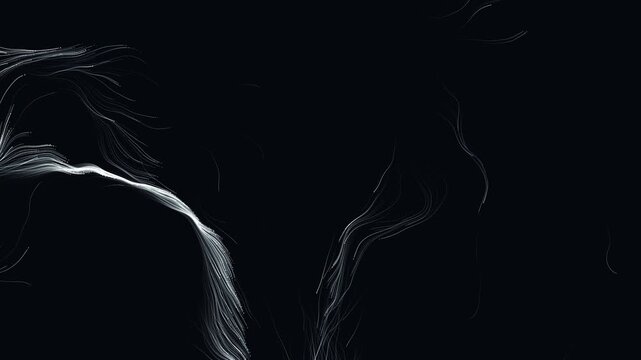 Procedural art white wispy light streaks create a curved digital art pattern on a dark background wallpaper for creative design projects. Perfect for futuristic backgrounds or modern artistic concept.