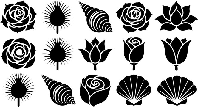 Black Silhouettes of Flowers Seashells and Thistle Plants  rose thistle seashell lotus