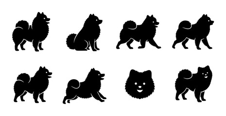 Fototapeta premium Pomeranian Dog Silhouettes, Set of 8 Vector Poses and Head Icon, Black Fluffy Breed Graphics for Pet Lovers and Design Projects
