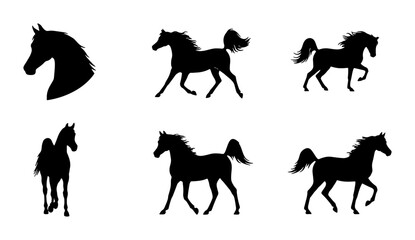 Elegant Horse Silhouettes Collection, Arabian Equine Poses Vector Set, Graceful Animal Profiles for Design © Affan