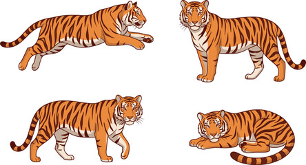 Bengal tiger actions vector cartoon illustration set with jumping standing walking and lying wild cat predator poses © Honey!