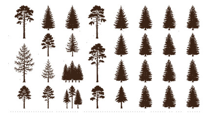 Collection of various pine tree silhouettes © vectolab