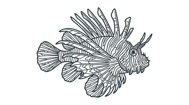 Lionfish Vector Illustration