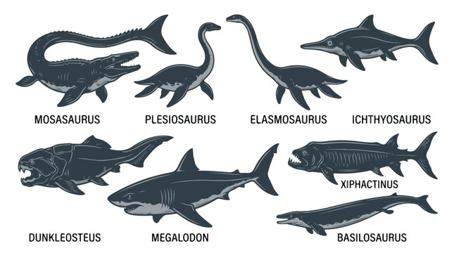 Collection of various prehistoric marine reptiles and dinosaurs illustrations