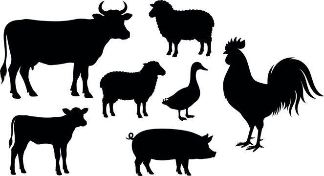Domestic farm animals silhouettes vector graphic icon set featuring cow pig sheep rooster duck and calf illustrations