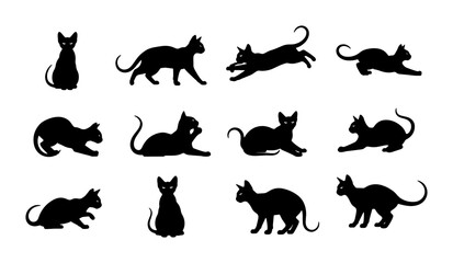 Obraz premium Collection of Black Cat Silhouettes, Diverse Poses Vector Set: Playful Feline Icons for Graphic Design and Pet Themes