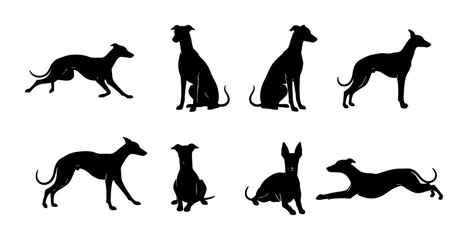 Fototapeta premium Greyhound Dog Silhouettes, Elegant Canine Poses Vector Set, Athletic Breed Illustrations, Black Animal Graphics for Design