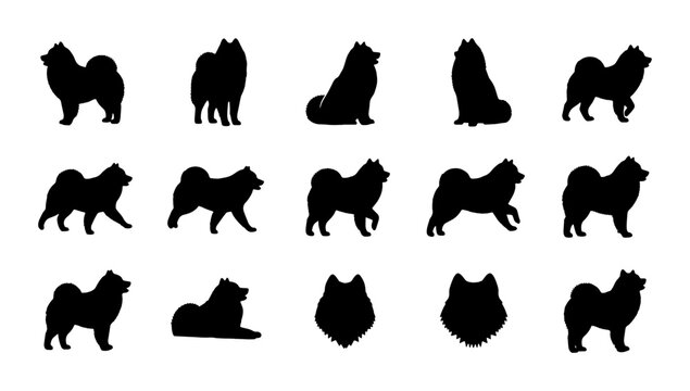 Samoyed Dog Silhouettes, 15 Vector Poses and Headshots, Black and White Canine Graphics for Pet Lovers and Animal Design Projects