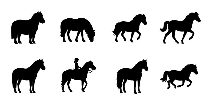 Horse Silhouettes Collection: Equestrian Poses, Riding, Grazing, and Galloping Vector Icons for Animal and Sport Graphics