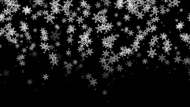 Calm falling snow flakes winter background. Snow fall snowflakes background, isolated overlay white snowfall light.
Isolated snow falling on black background