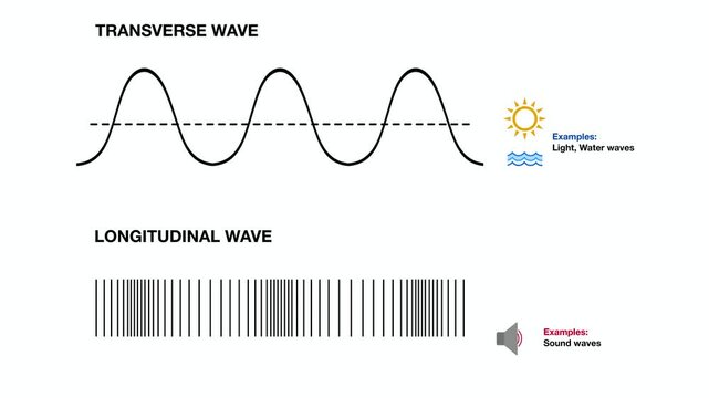 Animation of Educational infographic comparing transverse and longitudinal waves, wavelength, amplitude, compression, rarefaction, and wave propagation direction for physics and science learning