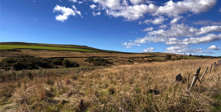 Rolling fields ripple into the distance, as wild plants stir beneath soft, cotton white clouds. A weathered fence runs along the fields edge, lending quiet charm to the landscape in Ilkley, Yorkshire,