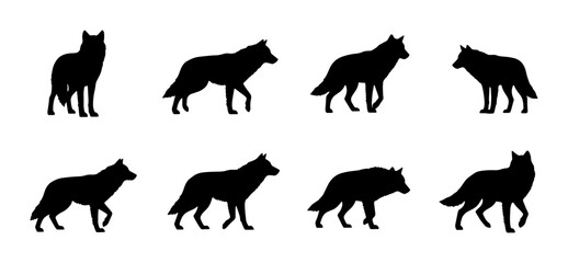 Obraz premium Wolf Silhouettes Collection: Dynamic Poses, Wild Animal Vector Art, Nature Graphics, Canine Movement Studies, Black and White Wildlife Icons