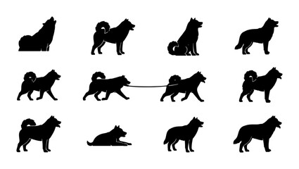 Husky Dog Silhouette Collection, 12 Vector Poses, Black Canine Graphics for Pet Branding and Animal Design Projects © Afifa