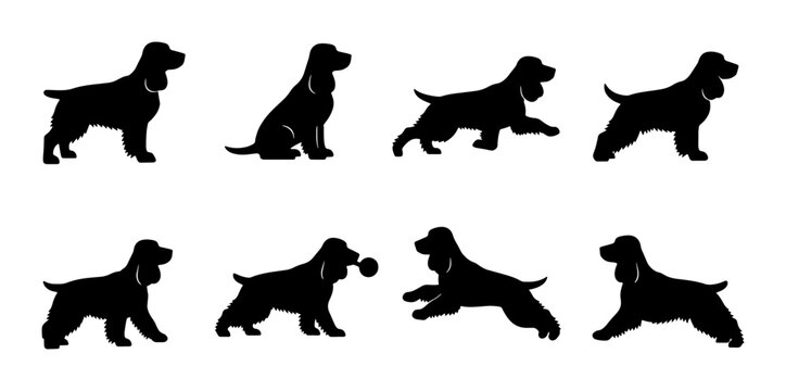 Cocker Spaniel Dog Silhouettes, Set of 8 Poses, Black Vector Graphics for Pet Lovers and Animal Graphics