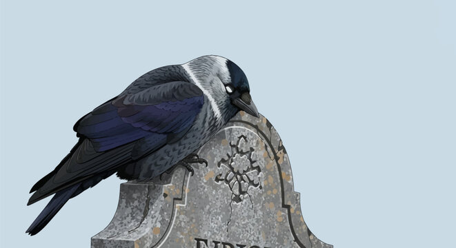Vector illustration of a black and grey jackdaw bird resting with eyes closed on top of a weathered, cracked stone headstone with lichen, isolated on a light blue background.