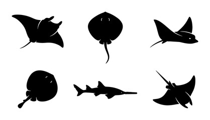 Vector Silhouette Collection of Marine Life: Manta Rays, Stingrays, and Sawfish, Ocean Aquatic Animals Set, Underwater Wildlife Icons © Firuj