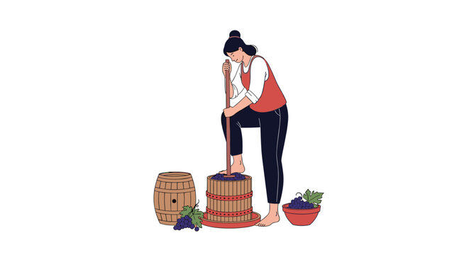 Traditional winemaker woman stomps blue grapes inside a rustic wooden bucket during the autumn harvest season.