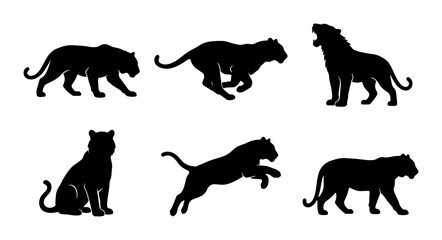 Fototapeta premium Big Cat Silhouettes Vector Set: Panther, Tiger, Lion Poses, Dynamic Wildlife Icons, Black Graphic Elements for Nature and Safari Designs