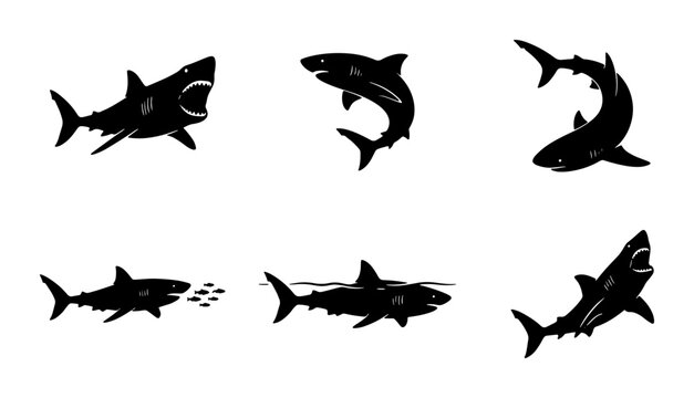 Shark Silhouettes Vector Pack: Aggressive Predator Poses, Ocean Wildlife Icons, Marine Animal Graphics for Design