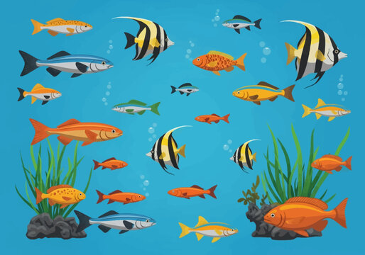 Vector illustration of diverse tropical aquarium fish species including Moorish Idols, cichlids, and angelfish swimming among green sea grass, rocks, and bubbles on a blue background.