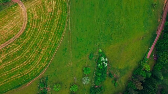 Topographical aerial view of fields and forest, symbolizing the intricate patterns of our natural environment.