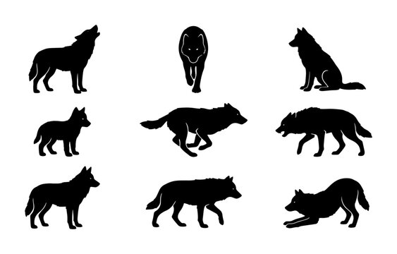 Wolf Silhouettes Collection: Diverse Poses, Wild Animal Vector Icons, Nature Wildlife Graphics, Canine Spirit Art