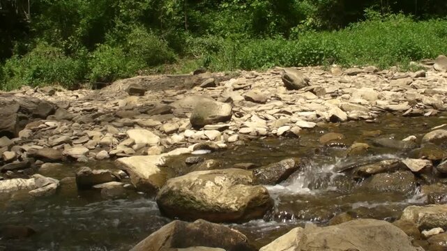 The Flow of Brandywine Creek V