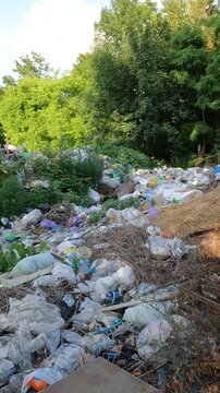 garbage in the park. garbage in the forest. natural landfills. garbage in the environment. garbage dump in the forest. garbage on the side of the road