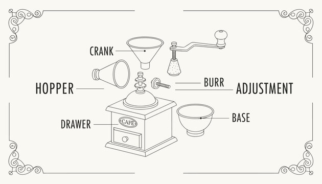 Exploded diagram of a vintage manual coffee grinder with labels for crank hopper burr adjustment base and drawer.