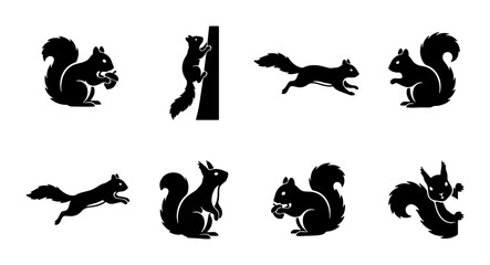 Fototapeta premium Set of Eight Black Squirrel Silhouettes, Diverse Poses, Woodland Wildlife Vector Icons, Nature Animal Graphics