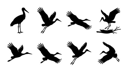 Naklejka premium Crane Bird Silhouette Animation Sequence, Wildlife Motion Graphics, Elegant Flying Bird Poses, Nature Vector Art Collection