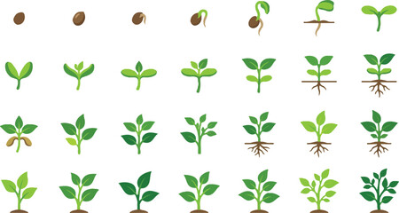 Fototapeta premium From Seed Germination to Sprout Seedling and Young Tree Flat Vector Illustration