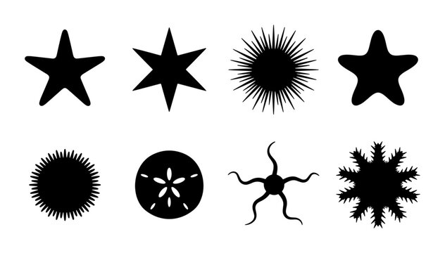 Marine Life Silhouettes Collection: Starfish, Sea Urchin, Sand Dollar Icons for Ocean Design, Nautical Graphics, Seafood Branding