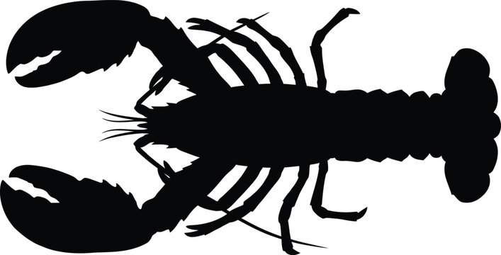 Black silhouette of a common lobster with claws silhouette crustacean underwater shellfish